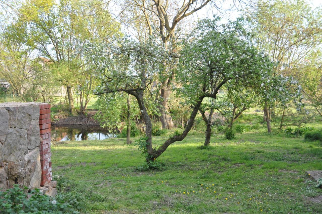 Ferienhaus Caselow 23 Bergholz Экстерьер фото