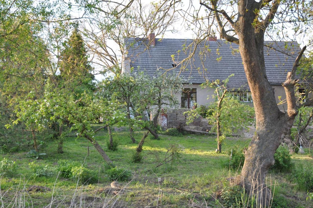 Ferienhaus Caselow 23 Bergholz Экстерьер фото